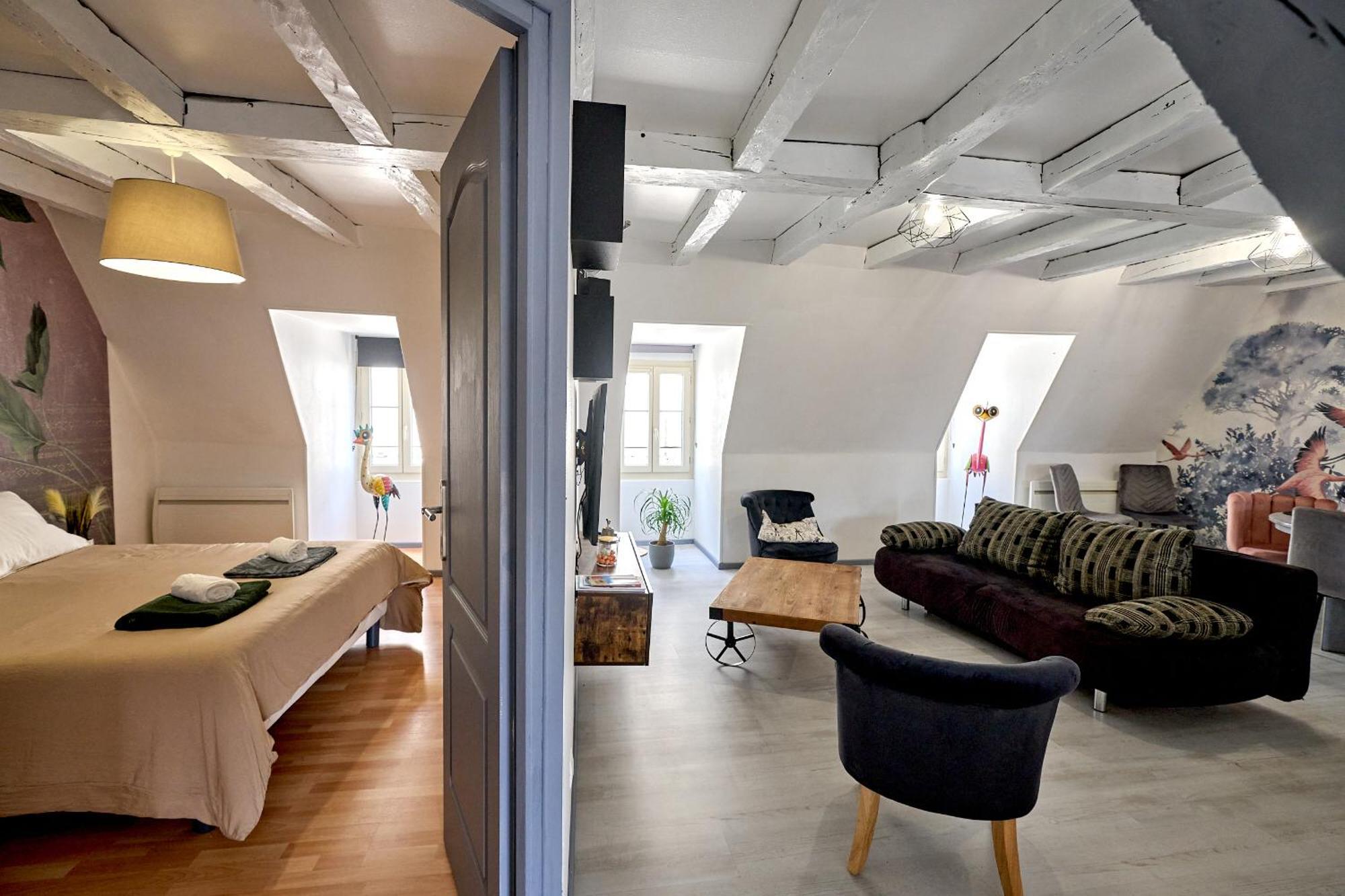 Appartement De Caractere, Charme Nevers Buitenkant foto
